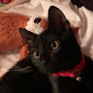 Meet your Posher, Mari